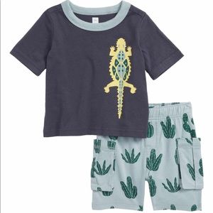 Tea Collection Baby Boy’s Shirt and Short Set NWT 6-9 Months